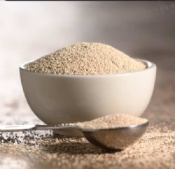 Dry Instant Yeast