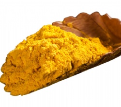 Dehydrated Pumpkin Powder