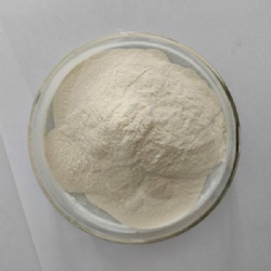 80/200mesh Xanthan Gum
