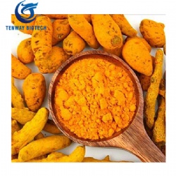 Curcumin Powder/Turmeric Root Extract Powder